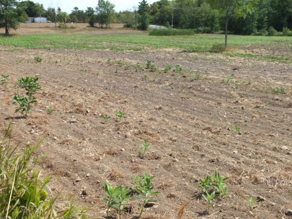 La MRC des Collines embarque avec ALUS Outaouais