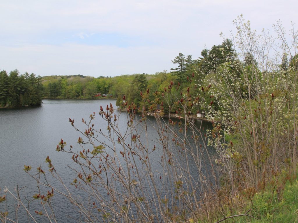 Lancement d’une vaste campagne de consultation sur les plans d’eau