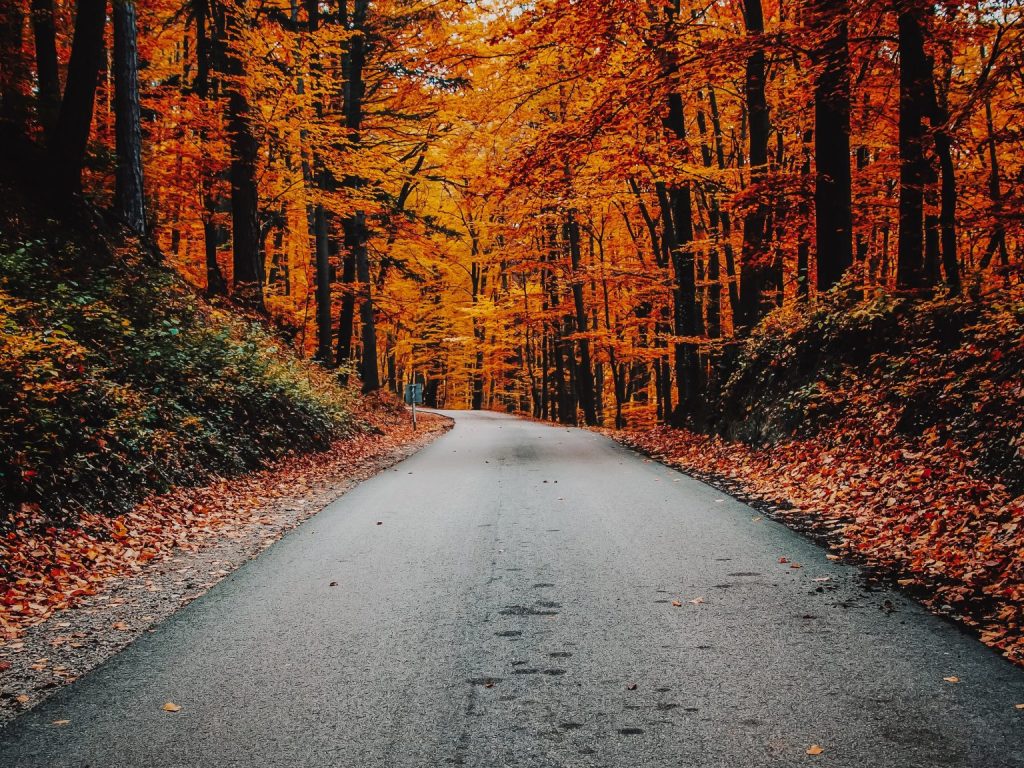 Des activités parfaites pour l’automne