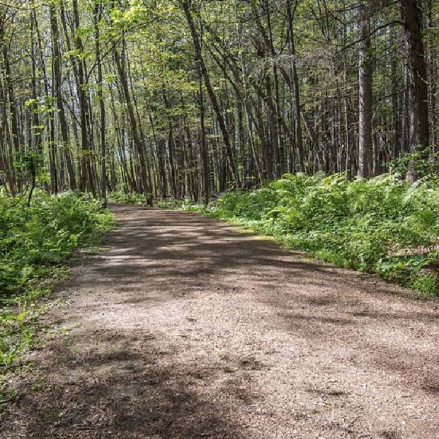 Parcours Louis-Joseph-Papineau