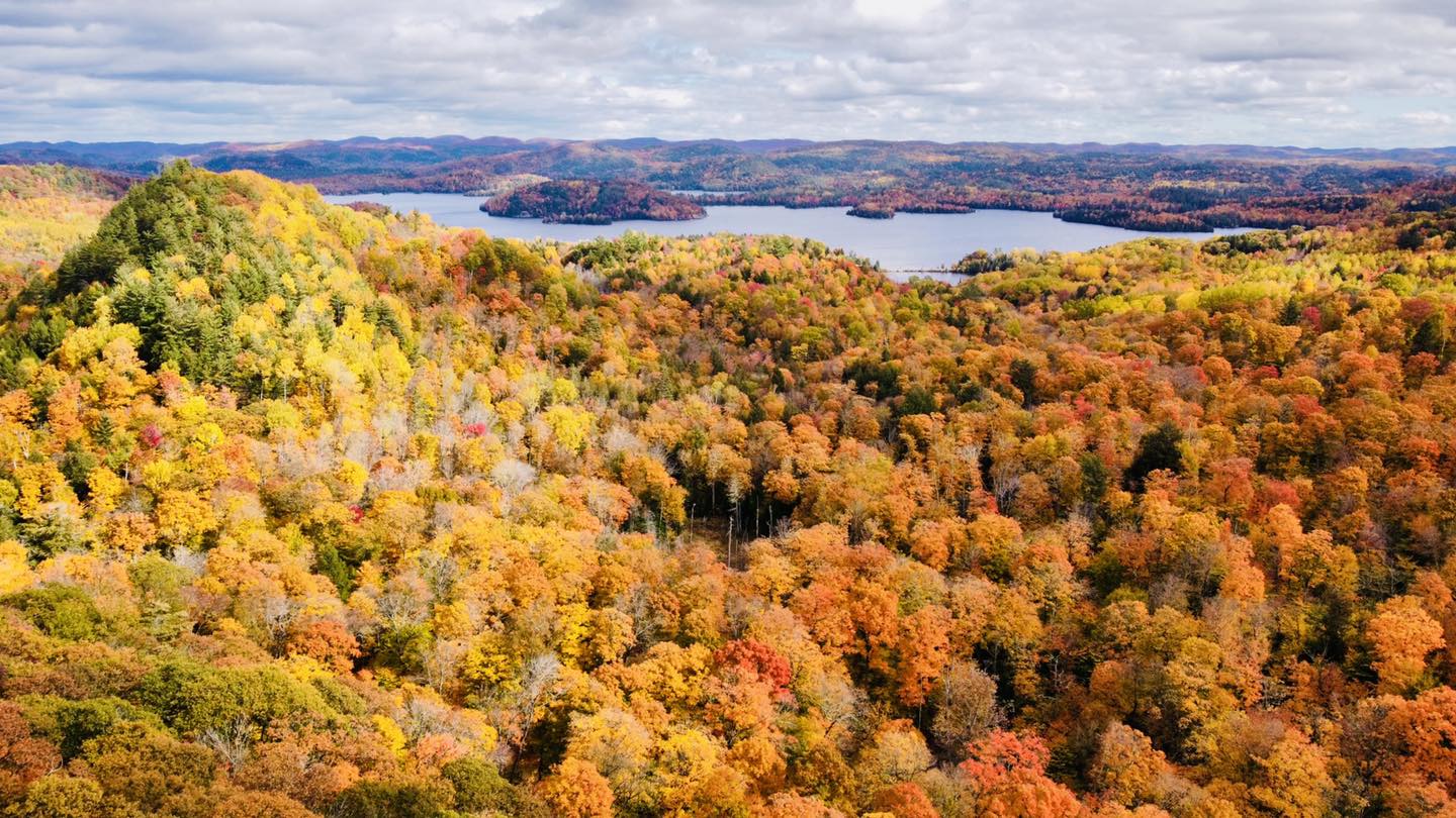 Parc Régional de la Forêt Bowman - Belvédère en automne